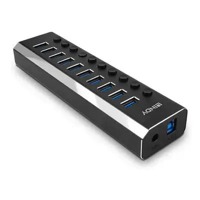 Lindy - hub - with on|off switches - 10 ports
