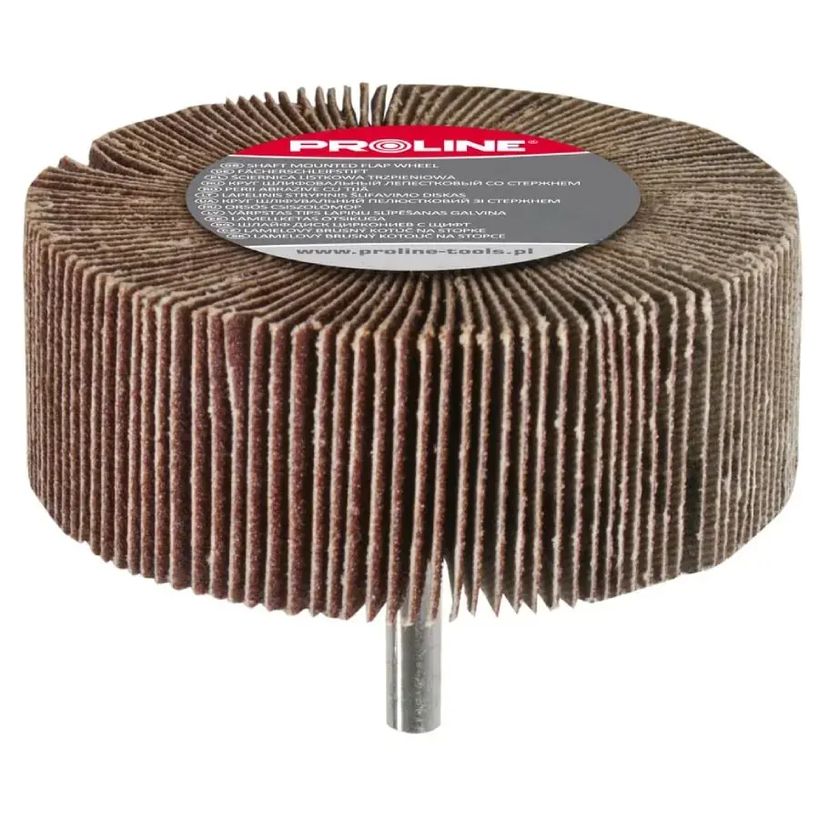 Proline Sanding disc 60x30mm with 6mm shaft A80