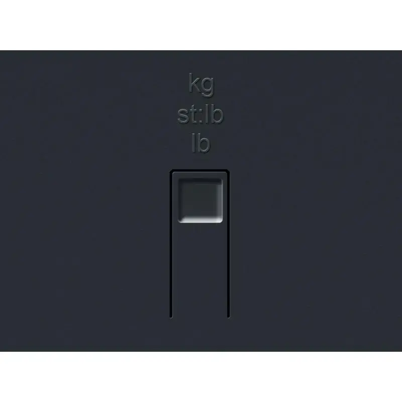 Soehnle Scale PWD Style Sense Safe 300 180kg silver (63867)