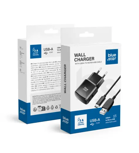 Зарядное устройство Blue Star TFK-TC-1100B | 10W | USB-A, Micro USB | с кабелем USB-A на Micro USB в комплекте | чёрное