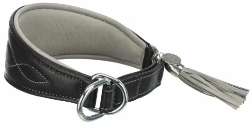 Collar - Trixie Active Comfort collar for greyhounds, XS-S: 24-31 cm|50 mm