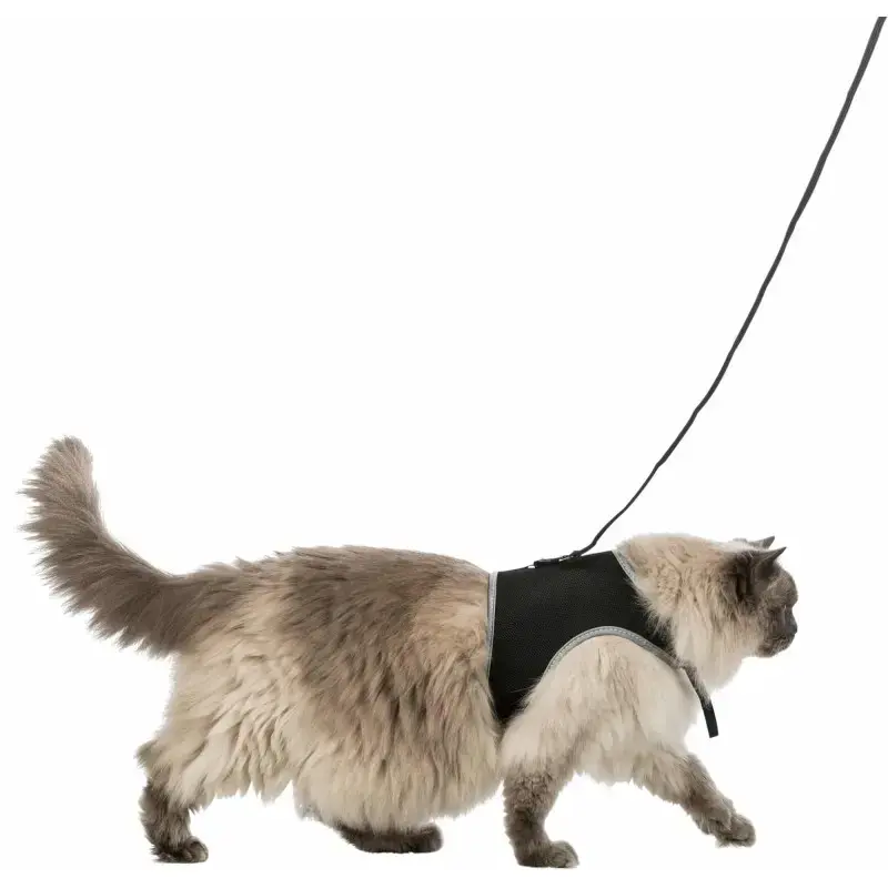 Krūšu siksna veste ar pavadu kaķiem - Trixie Soft harness with leash for cats, XL, 36–54 cm, 1.20 m