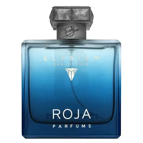 Roja Parfums Elysium Eau Intense (EDP) parfumuotas vanduo vyrams 100 ml