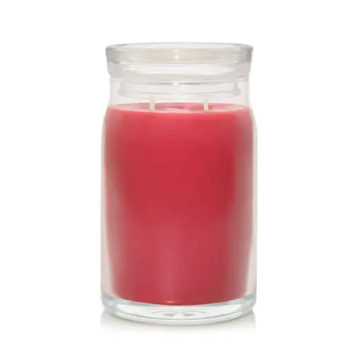 Debenhams Signature Large Jar Santa on Skis