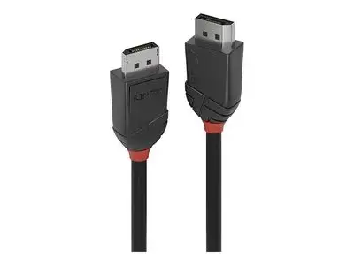 Lindy Black Line - DisplayPort cable - DisplayPort to DisplayPort - 2 m
