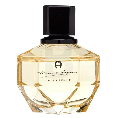 Aigner Etienne Aigner Pour Femme eau de parfum for women 100 ml