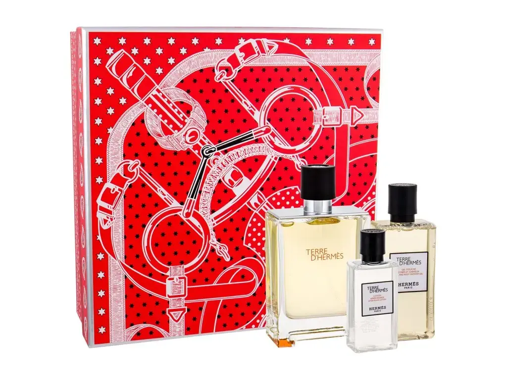 Hermes Terre d'Hermes Eau de Toilette 100 ml