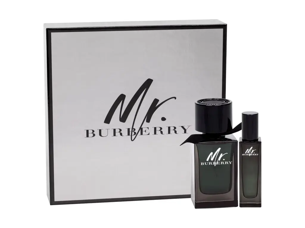 Burberry Mr. Burberry Eau de Parfum 100 ml