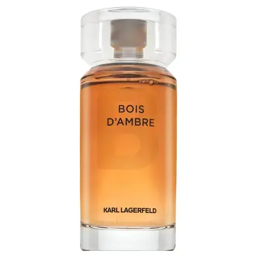 Lagerfeld Bois d'Ambre tualetes ūdens vīriešiem 100 ml