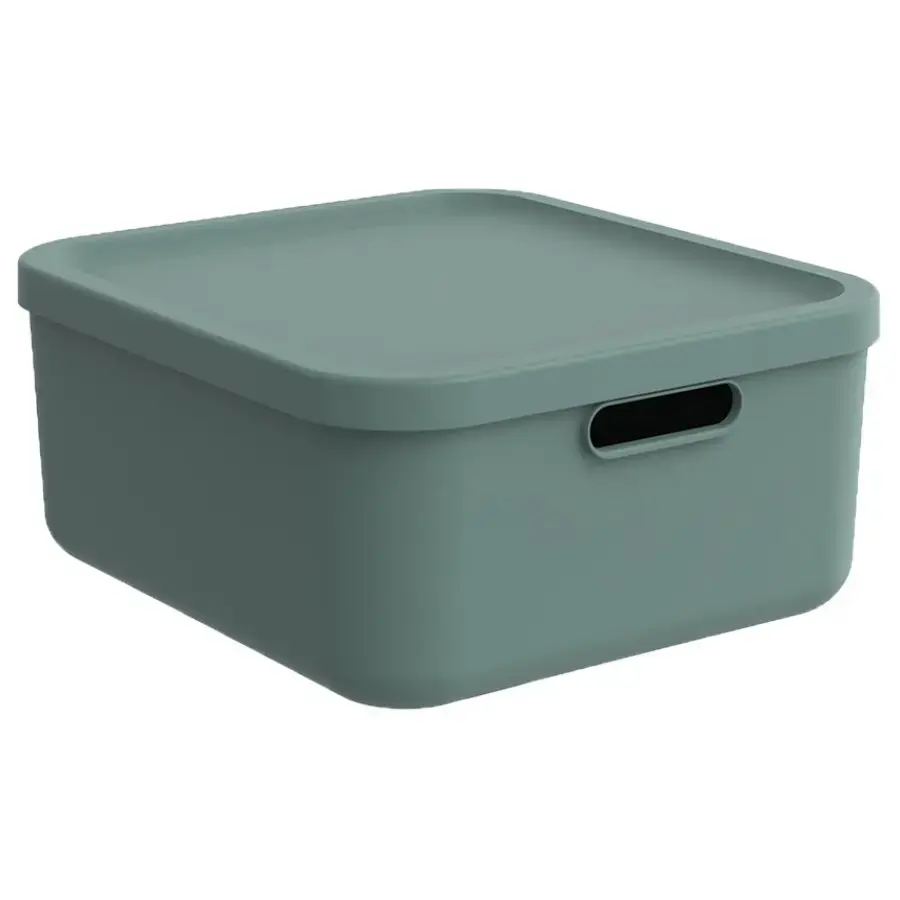 Rotho Storage box Albula 20L with