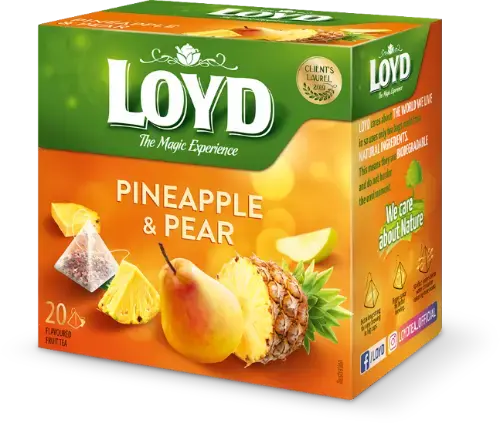 Augļu tēja LOYD Pyramids ar ananasu un bumbieru garšu, 20x2 g