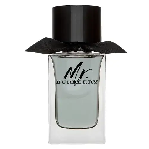 Burberry Mr. Burberry tualetes ūdens vīriešiem 100 ml