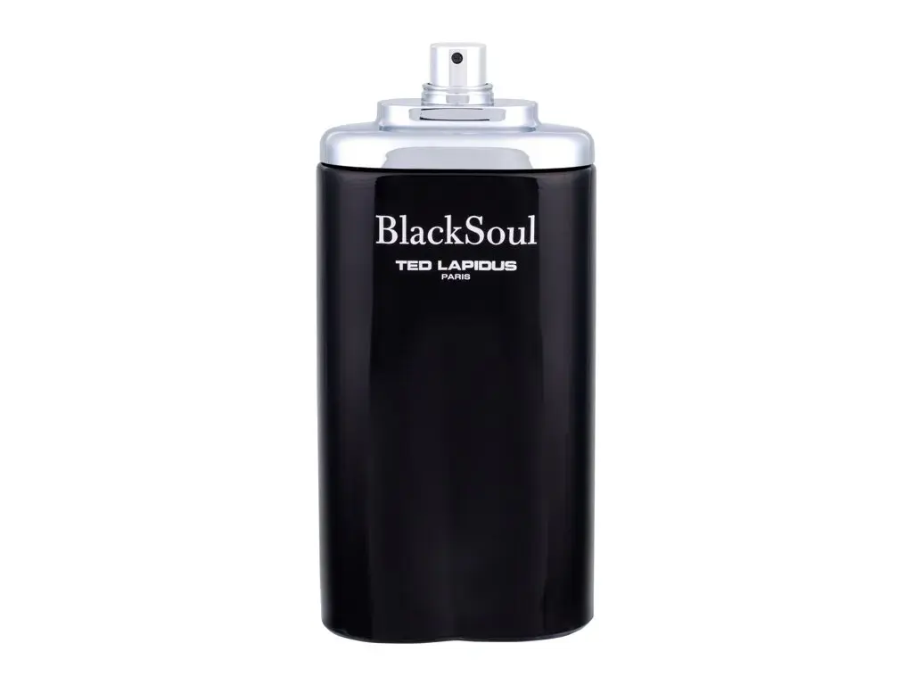 Ted Lapidus Black Soul Eau de Toilette 100 ml