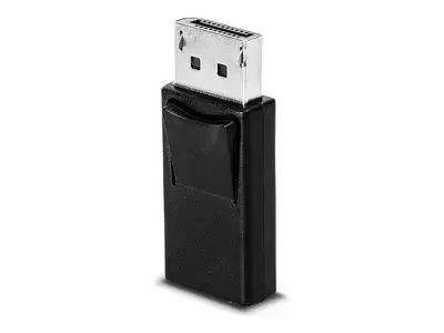 Lindy DisplayPort adapter
