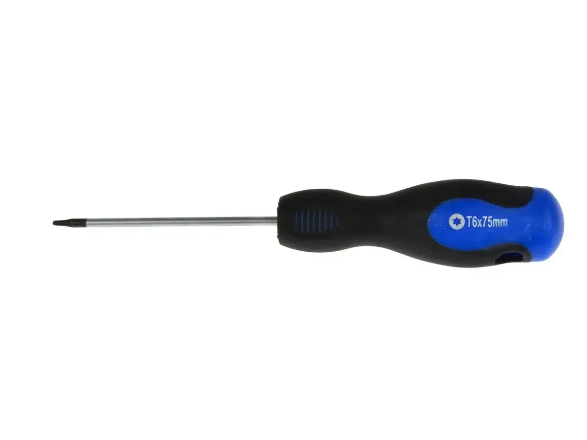 Torx kruvikeeraja T-6 x 75mm