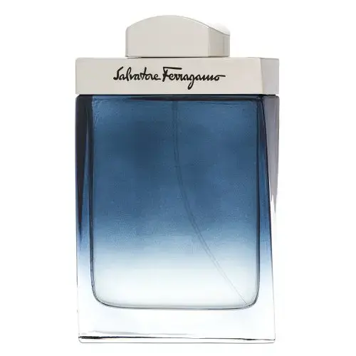 Salvatore Ferragamo Subtil Pour Homme Tualetes ūdens vīriešiem 100 ml