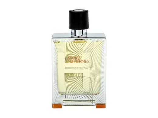 Hermes Terre D Hermes Flacon H 2014 Eau de Toilette 100 ml
