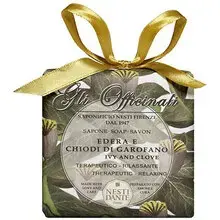 Nesti Dante Gli Officinali Soap Ivy & Clove 200ml