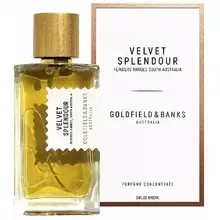 Velvet Splendour Perfume Contentrate for Unisex