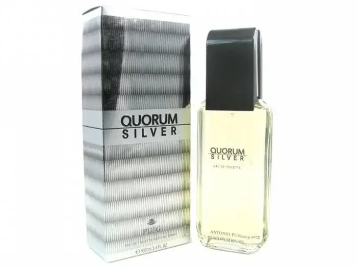 Antonio Puig Quorum Silver Eau de Toilette 100 ml