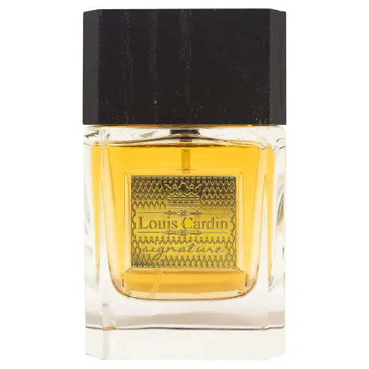 Louis Cardin Signature (EDP) parfumuotas vanduo vyrams 100 ml