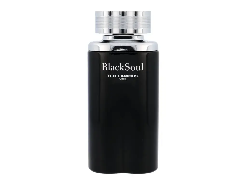 Ted Lapidus Black Soul Eau de Toilette 100 ml