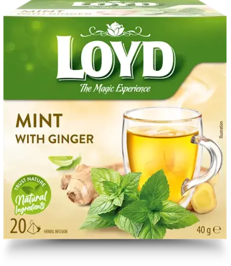 Tēja LOYD, piparmētru un ingvera garša, 20 x 2g