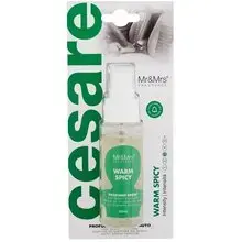 Cesare Car Spray Perfume Warm Spicy - Vůně do auta