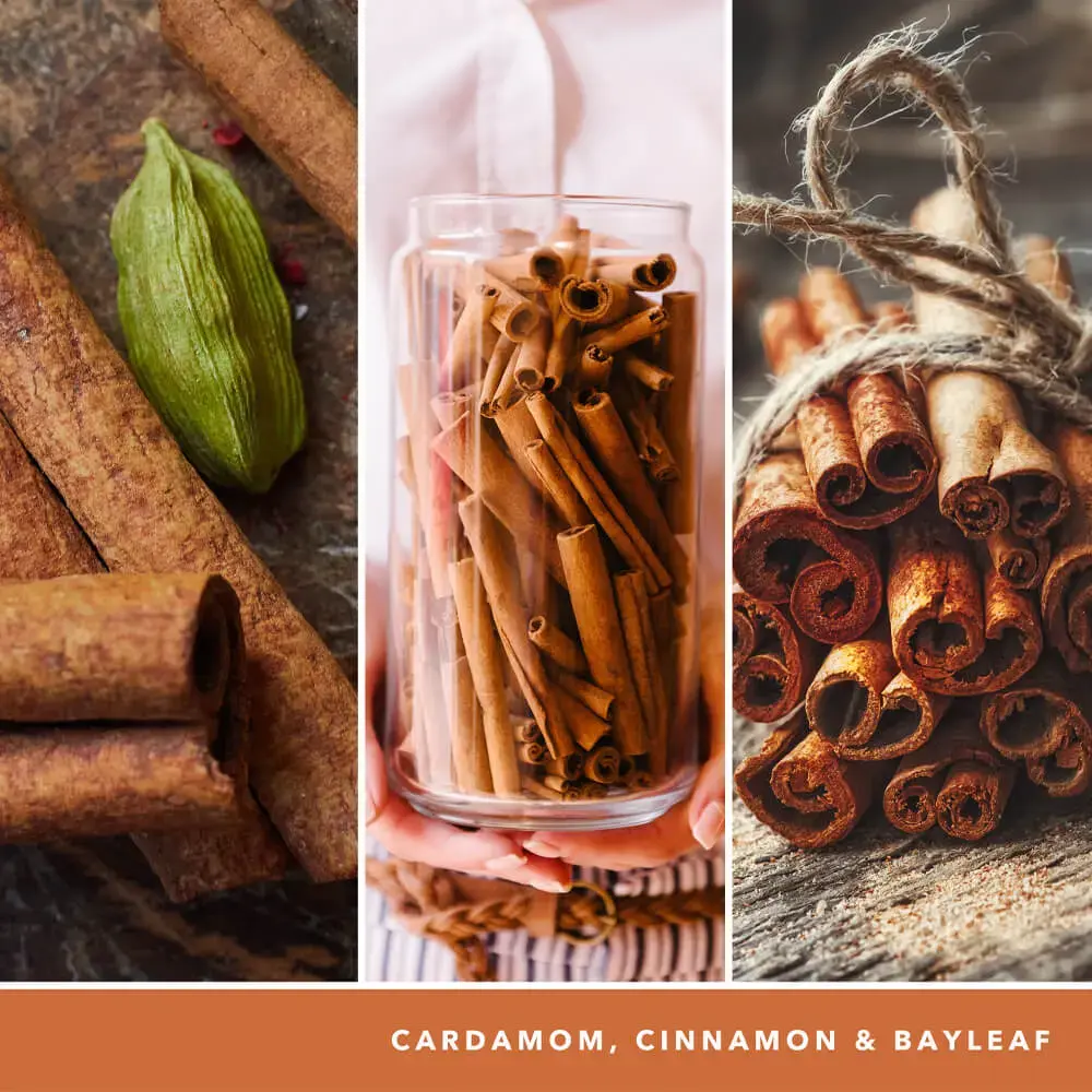 Yankee Candle Signature Medium Candle Cinnamon Stick 368 G
