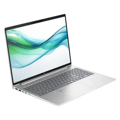 HP notebook ProBook 465 G11 - 40.6 cm (16") - AMD Ryzen 5 7535U - Pike Silver - with HP Wolf Pro Security Edition (1 year)
