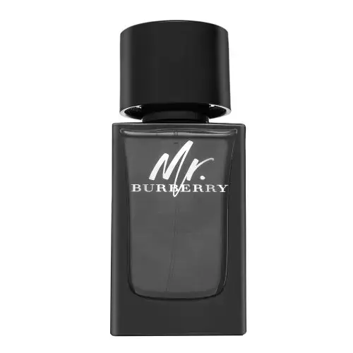 Burberry Mr. Burberry (EDP) parfumuotas vanduo vyrams 100 ml