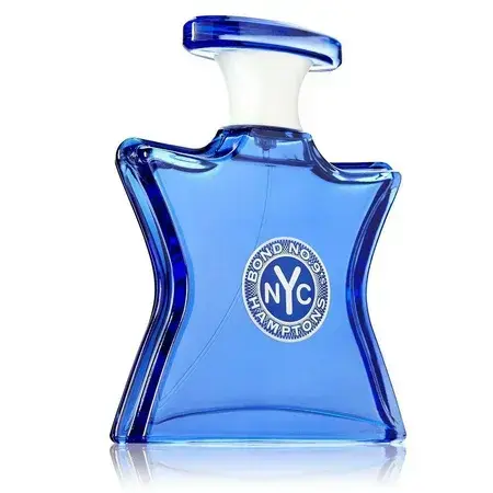 Hamptons for Men Eau De Parfum Spray 3.3 Oz