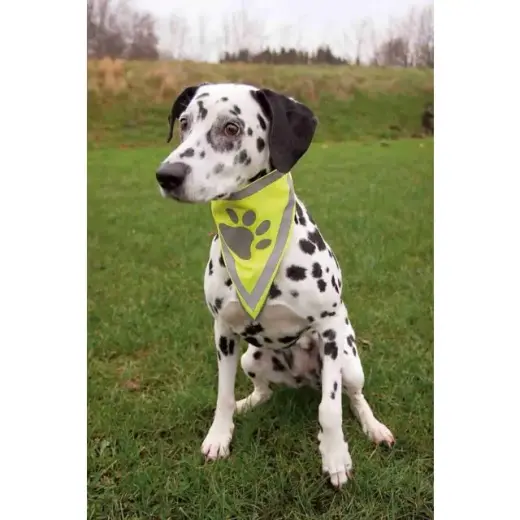 Atstarojošs lakats - Trixie Safer Life neckerchief, L–XL: 43–60 cm