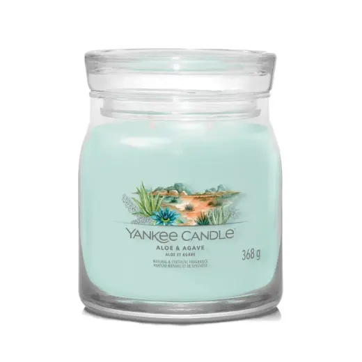 Debenhams Signature Medium Jar Aloe & Agave
