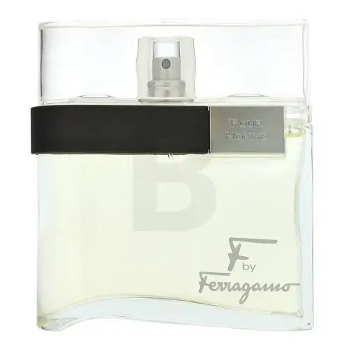 Salvatore Ferragamo F by Ferragamo Pour Homme Tualetes ūdens vīriešiem 100 ml
