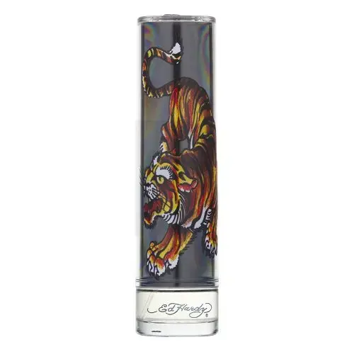 Christian Audigier Ed Hardy For Men (EDT) tualettvesi meestele 100 ml