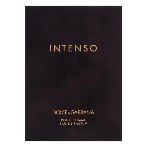 Dolce & Gabbana Pour Homme Intenso eau de parfum for men 125 ml