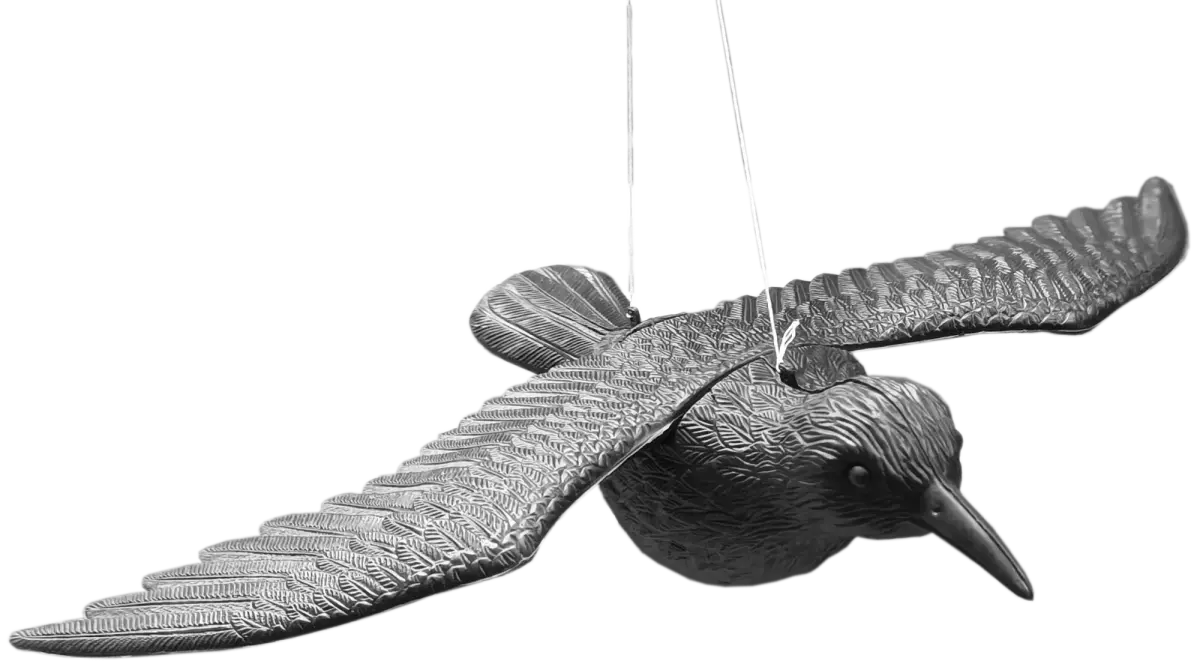 BESK Garden decor Bird 58x41x11cm, hanging