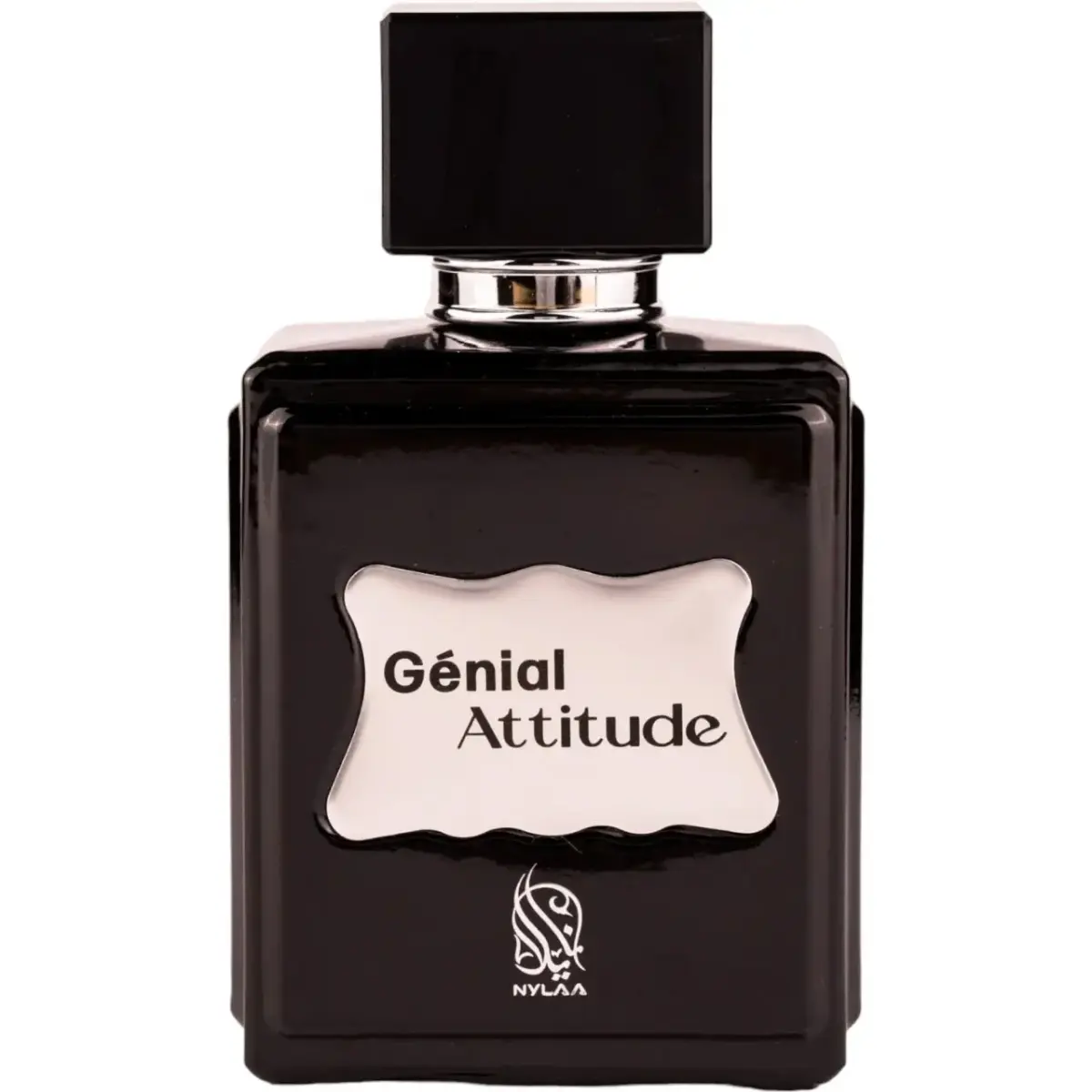 Nylaa, Genial Attitude, Eau De Parfum, For Men, 100 ml