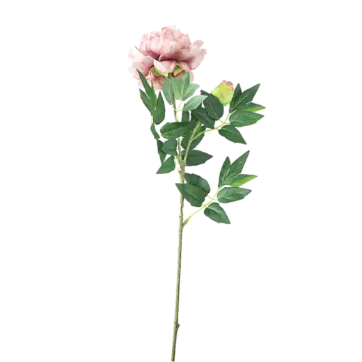 Mākslīgā Peonija 70cm
