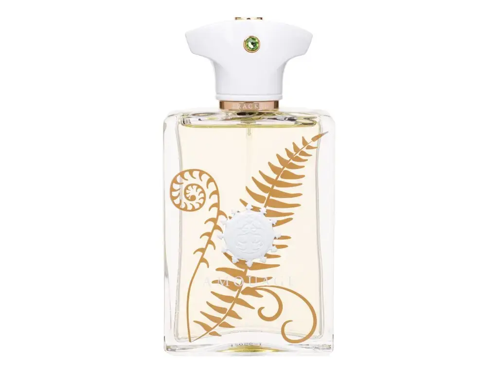 Amouage Bracken Man Eau de Parfum 100 ml