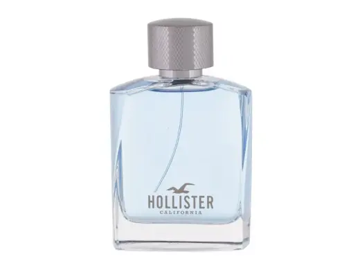 Hollister Wave Eau de Toilette 100 ml