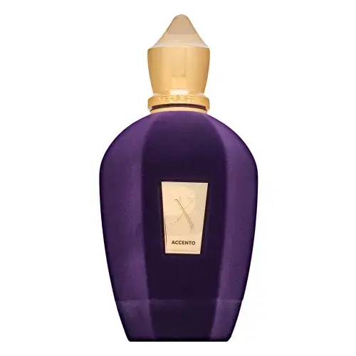 Xerjoff V Accento (EDP) parfüümvesi unisex 100 ml