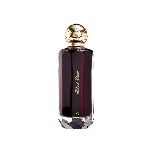 Aurora Black Elixir (EDP) parfimērijas ūdens vīriešiem 100 ml