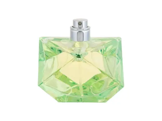 Britney Spears Believe Eau de Parfum 100 ml