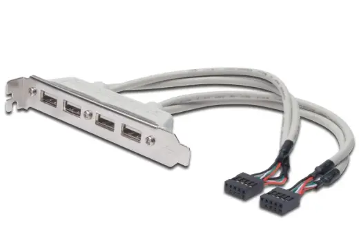 DIGITUS USB slot cable - 2 x USB Type-A|2 x IDC (10-pin) - 25 cm