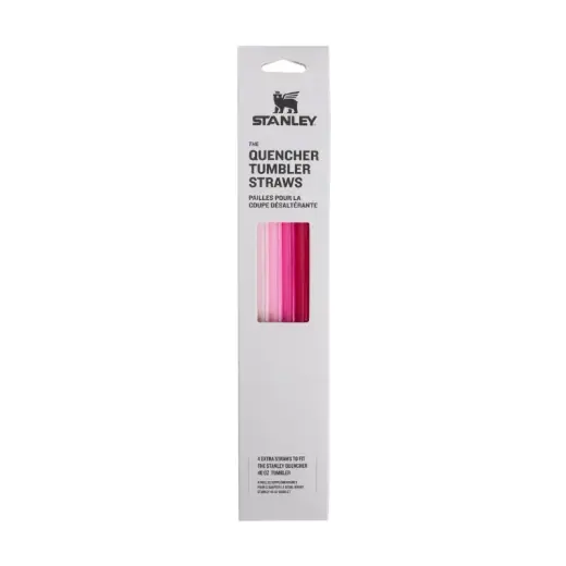 Salmiņu komplekts 4 gab. termokrūzēm The Quencher Travel Tumbler Straws 1,18L rozā