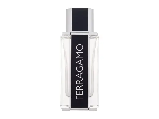 Salvatore Ferragamo Ferragamo (EDT) tualetinis vanduo vyrams 100 ml