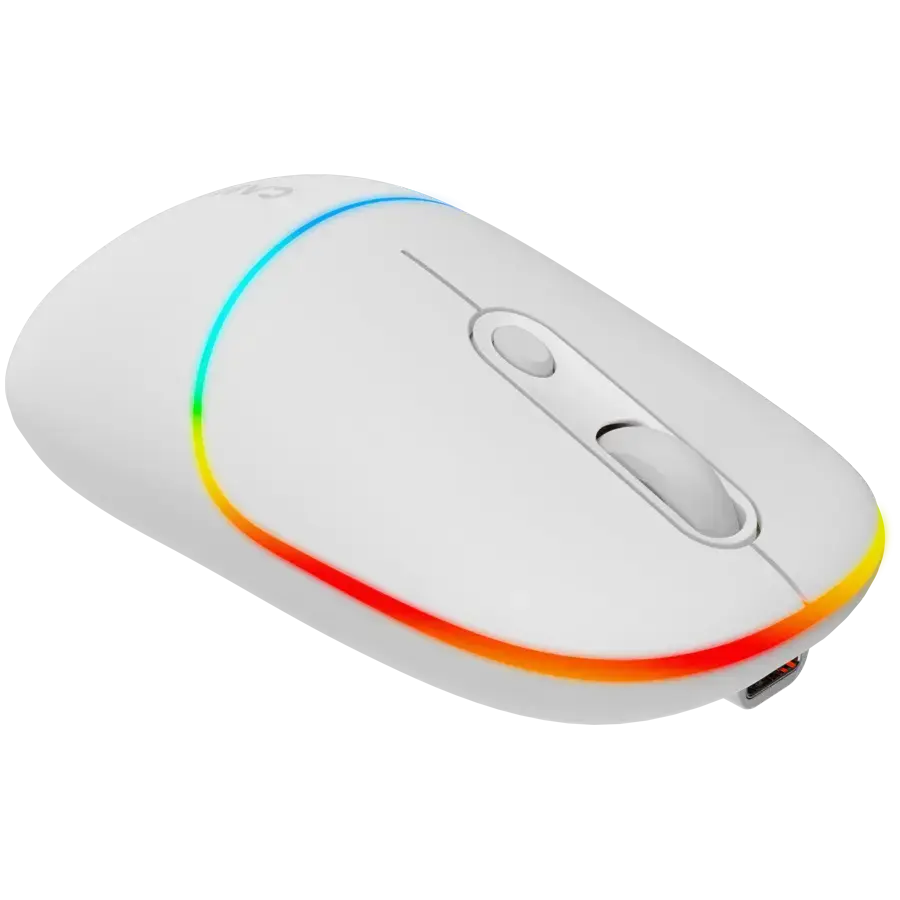 CANYON mouse MW-22 2in1 BT/ Wireless Snow White