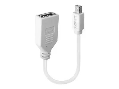 Lindy - DisplayPort adapter - Mini DisplayPort to DisplayPort - 15 cm